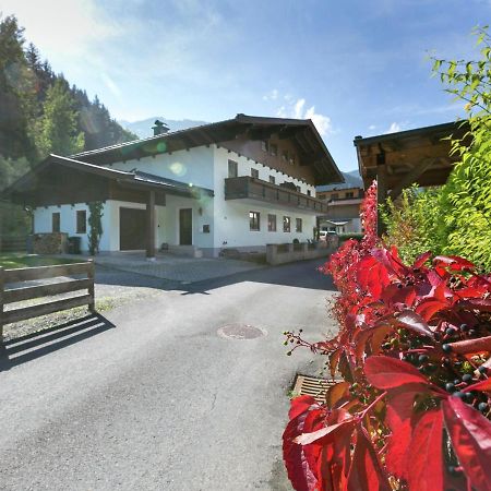 Apartment In Salzburgerland Near The Ski Area Viehhofen Eksteriør bilde