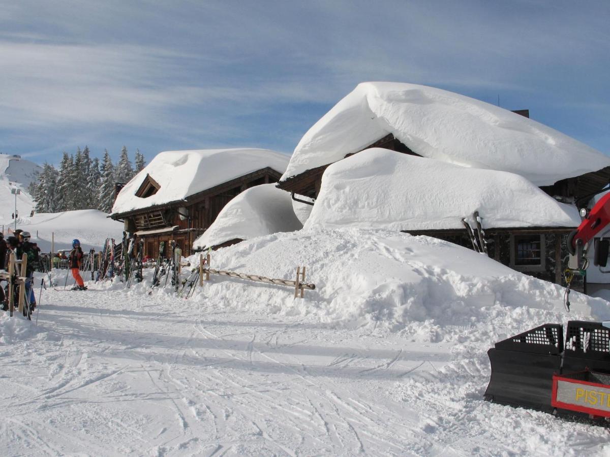 Apartment In Salzburgerland Near The Ski Area Viehhofen Eksteriør bilde