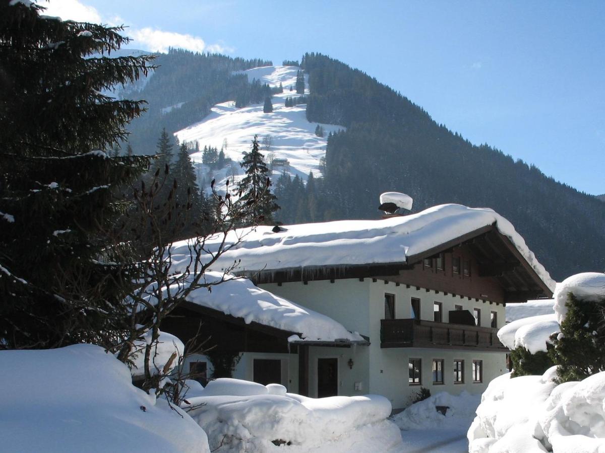 Apartment In Salzburgerland Near The Ski Area Viehhofen Eksteriør bilde