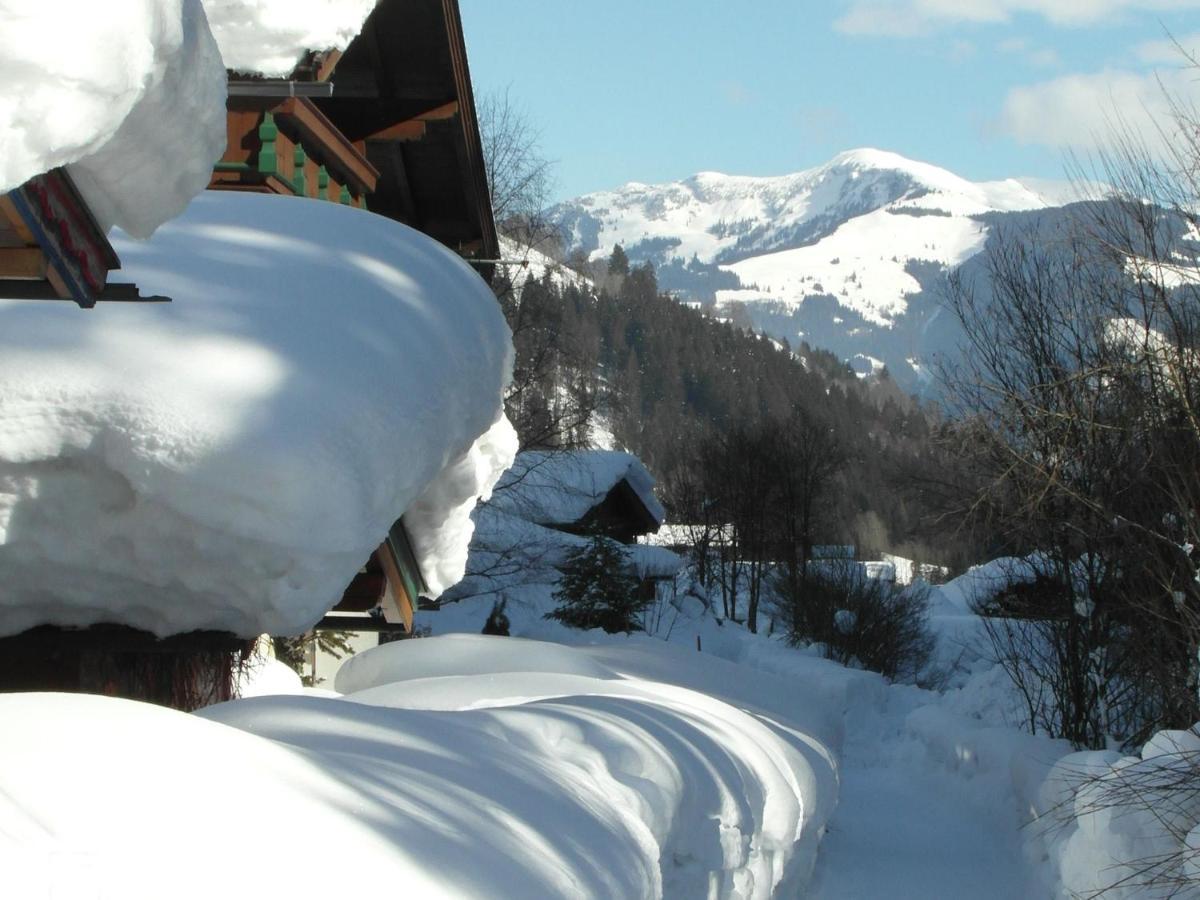 Apartment In Salzburgerland Near The Ski Area Viehhofen Eksteriør bilde