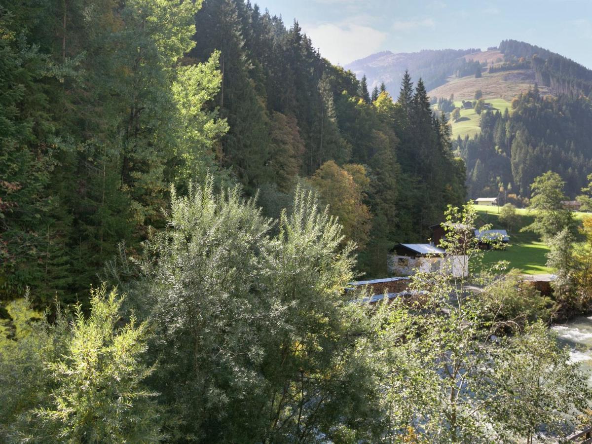 Apartment In Salzburgerland Near The Ski Area Viehhofen Eksteriør bilde