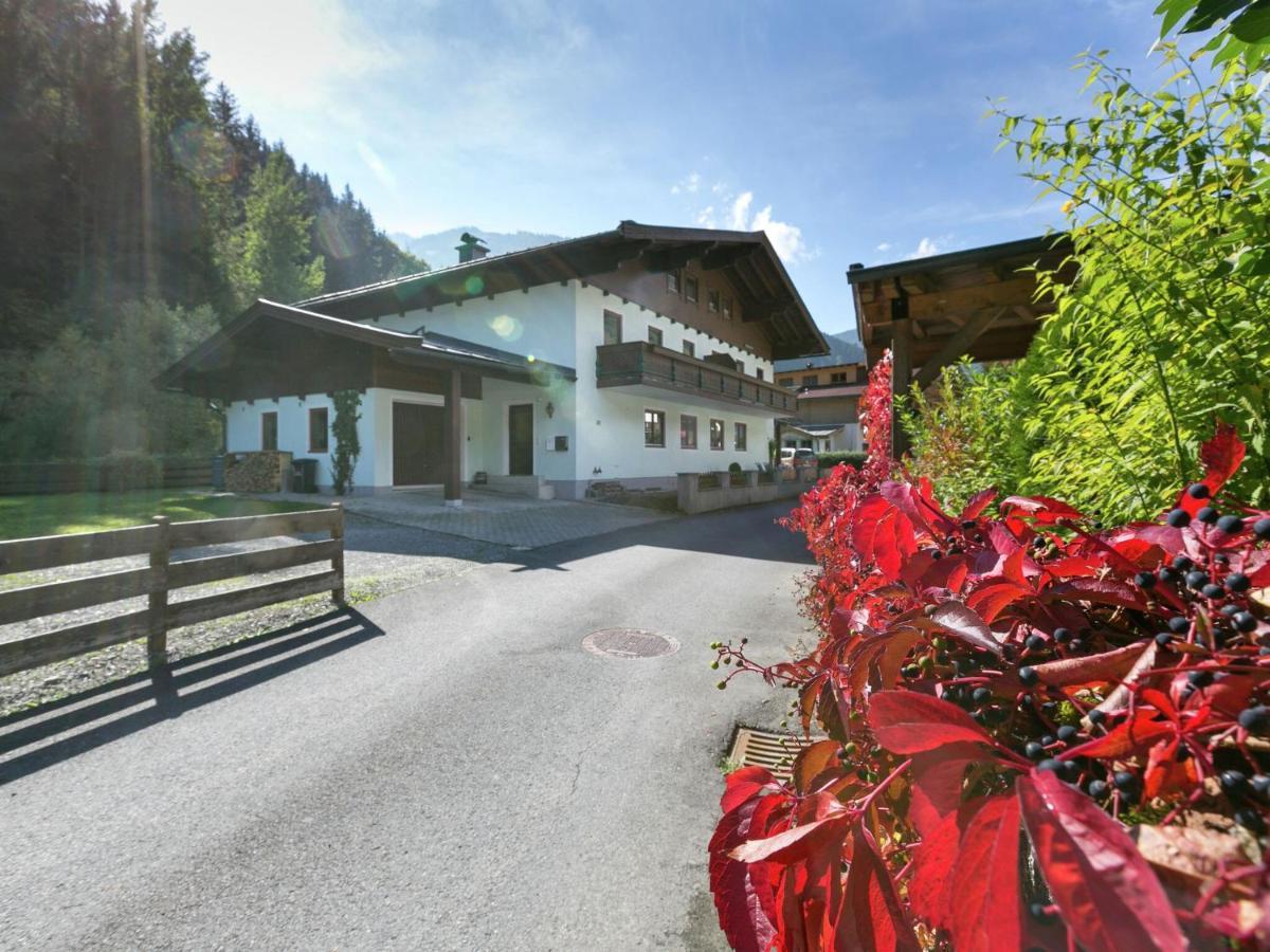 Apartment In Salzburgerland Near The Ski Area Viehhofen Eksteriør bilde