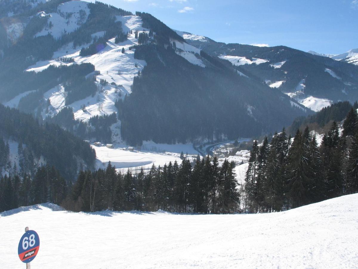 Apartment In Salzburgerland Near The Ski Area Viehhofen Eksteriør bilde