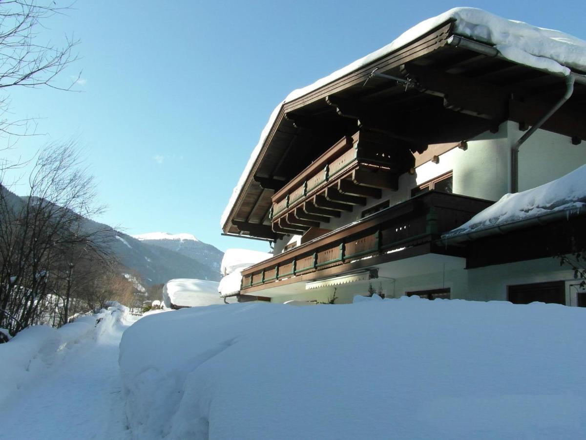 Apartment In Salzburgerland Near The Ski Area Viehhofen Eksteriør bilde