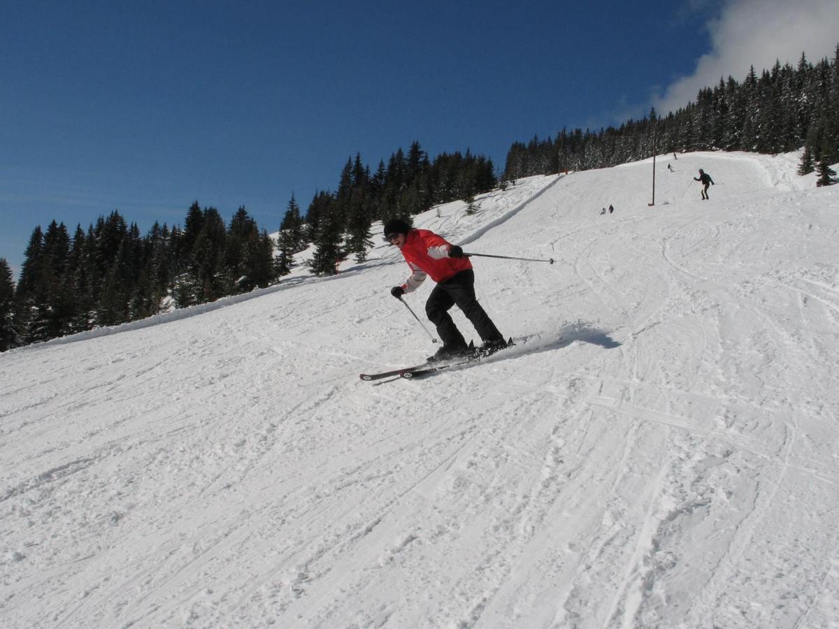 Apartment In Salzburgerland Near The Ski Area Viehhofen Eksteriør bilde